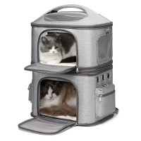 Cat backpack for 2 cats (or lots of kittens)