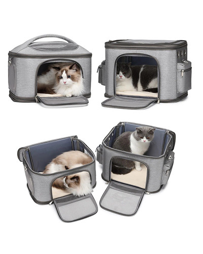 Cat backpack for 2 cats (or lots of kittens)