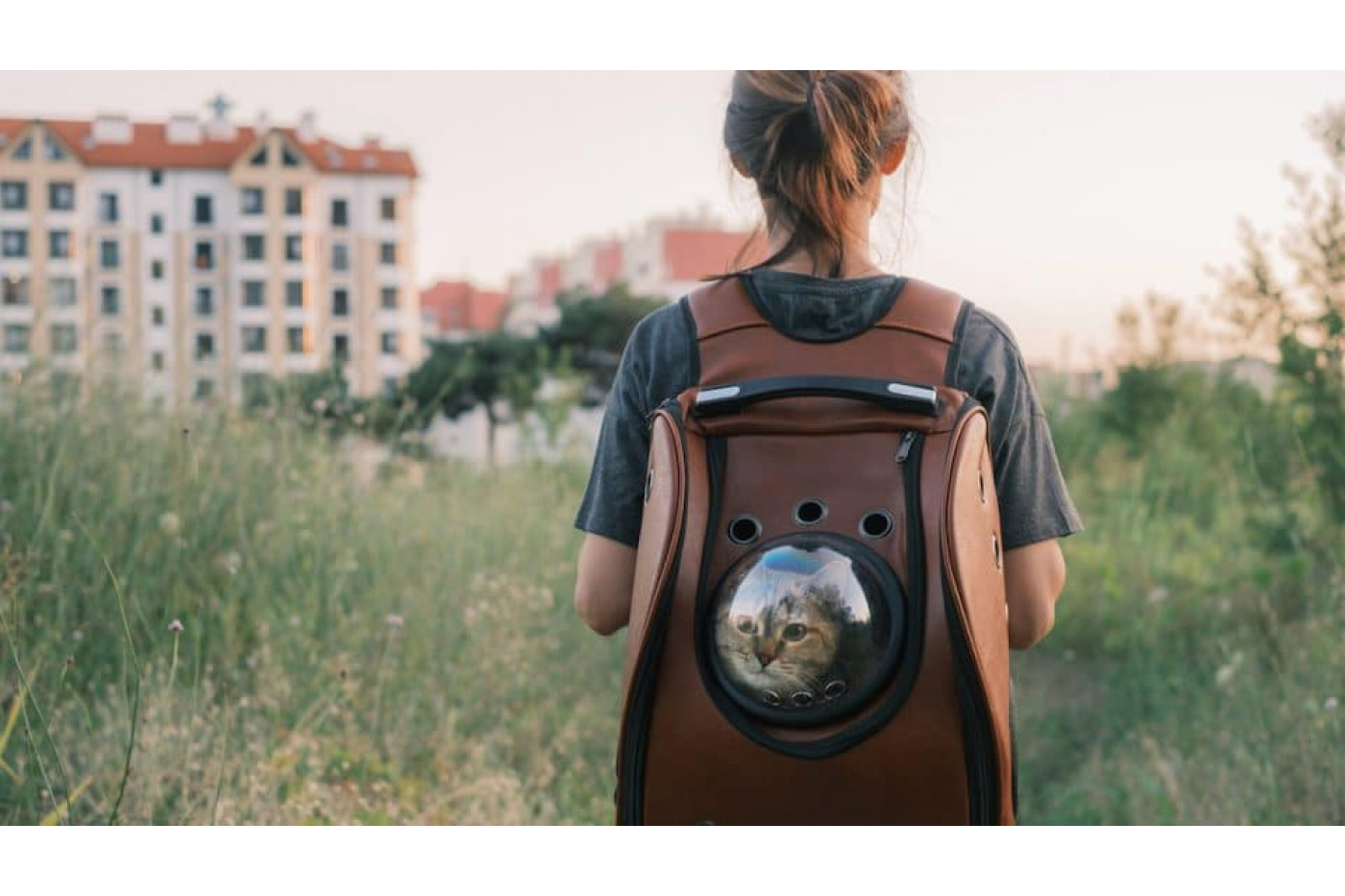 Happy clients traveling with a cat