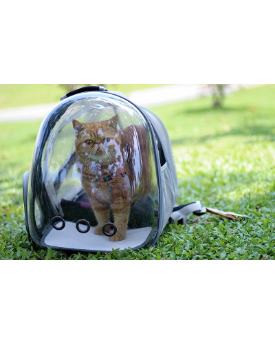 Cat bubble backpack - expandable version