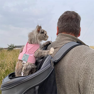 Cat backpack for large cats