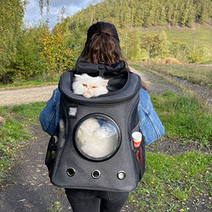 Cat backpack for large cats
